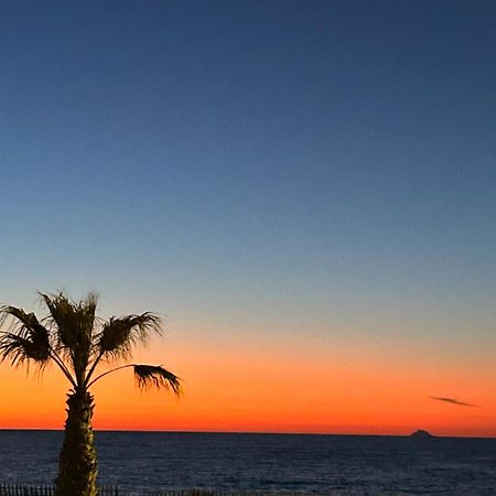 Appartamento Petite Endroit Splendide. Six-Fours-les-Plages Esterno foto