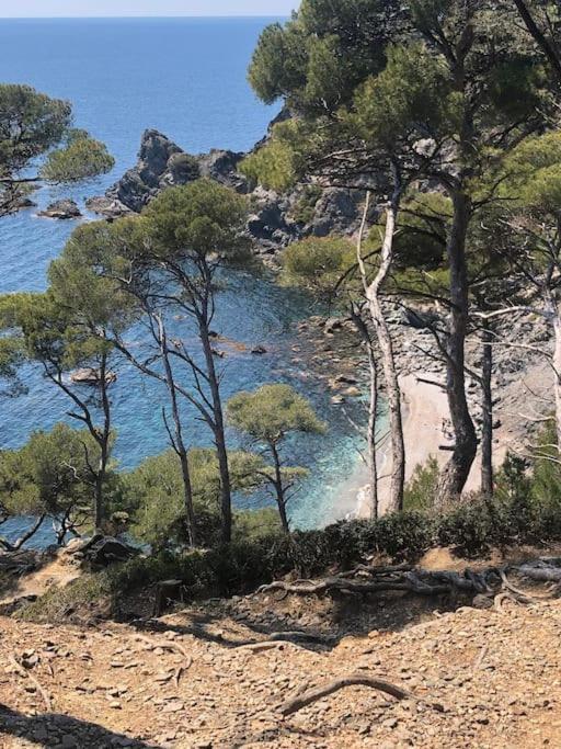 Appartamento Petite Endroit Splendide. Six-Fours-les-Plages Esterno foto