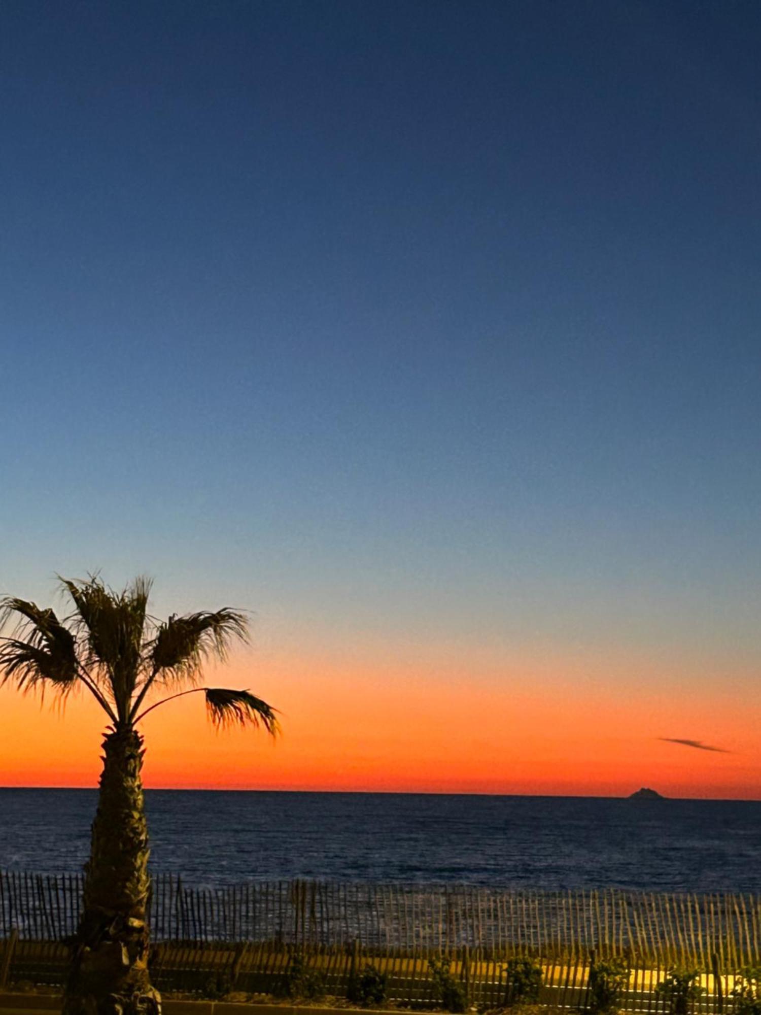 Appartamento Petite Endroit Splendide. Six-Fours-les-Plages Esterno foto