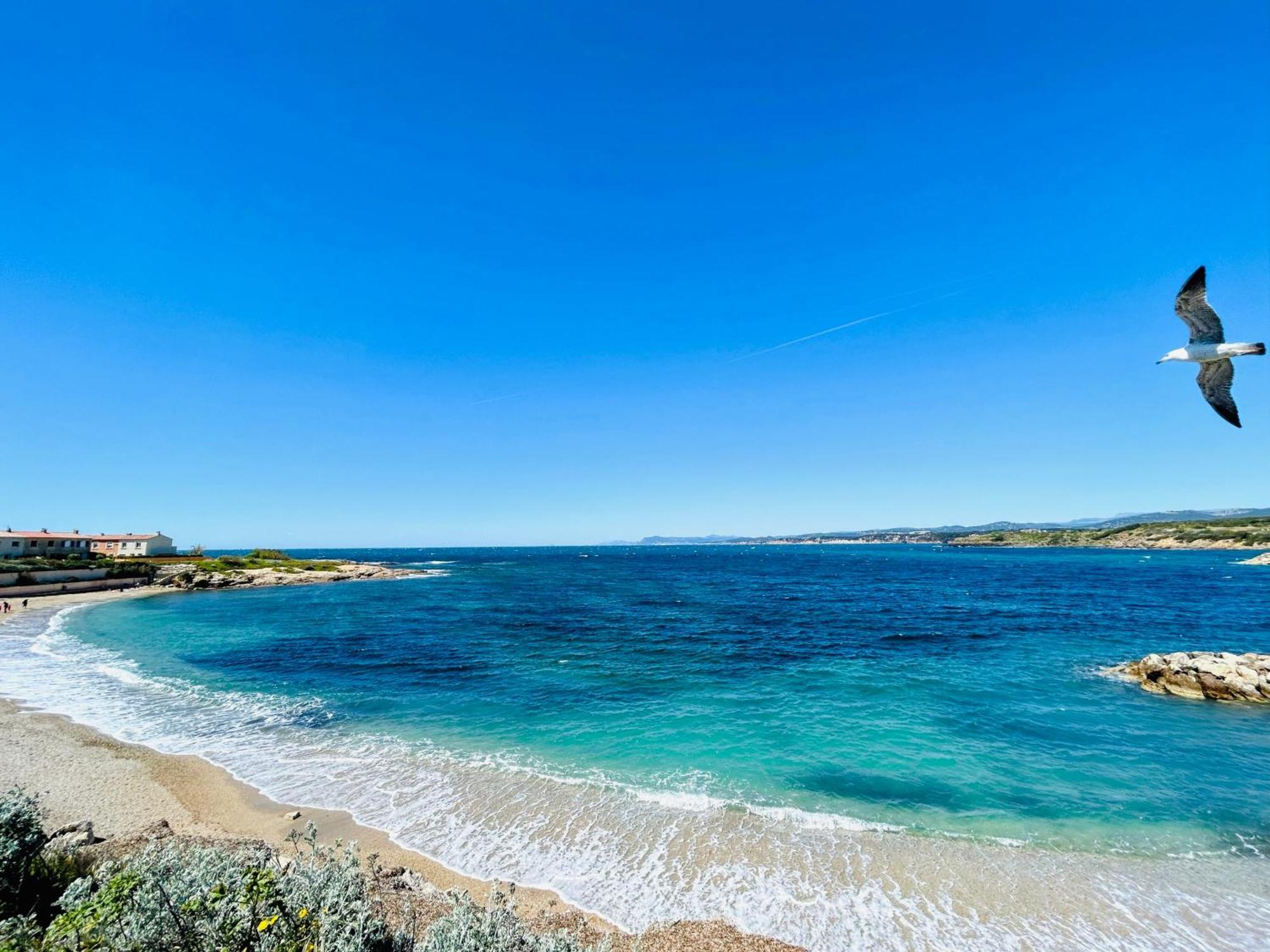 Appartamento Petite Endroit Splendide. Six-Fours-les-Plages Esterno foto